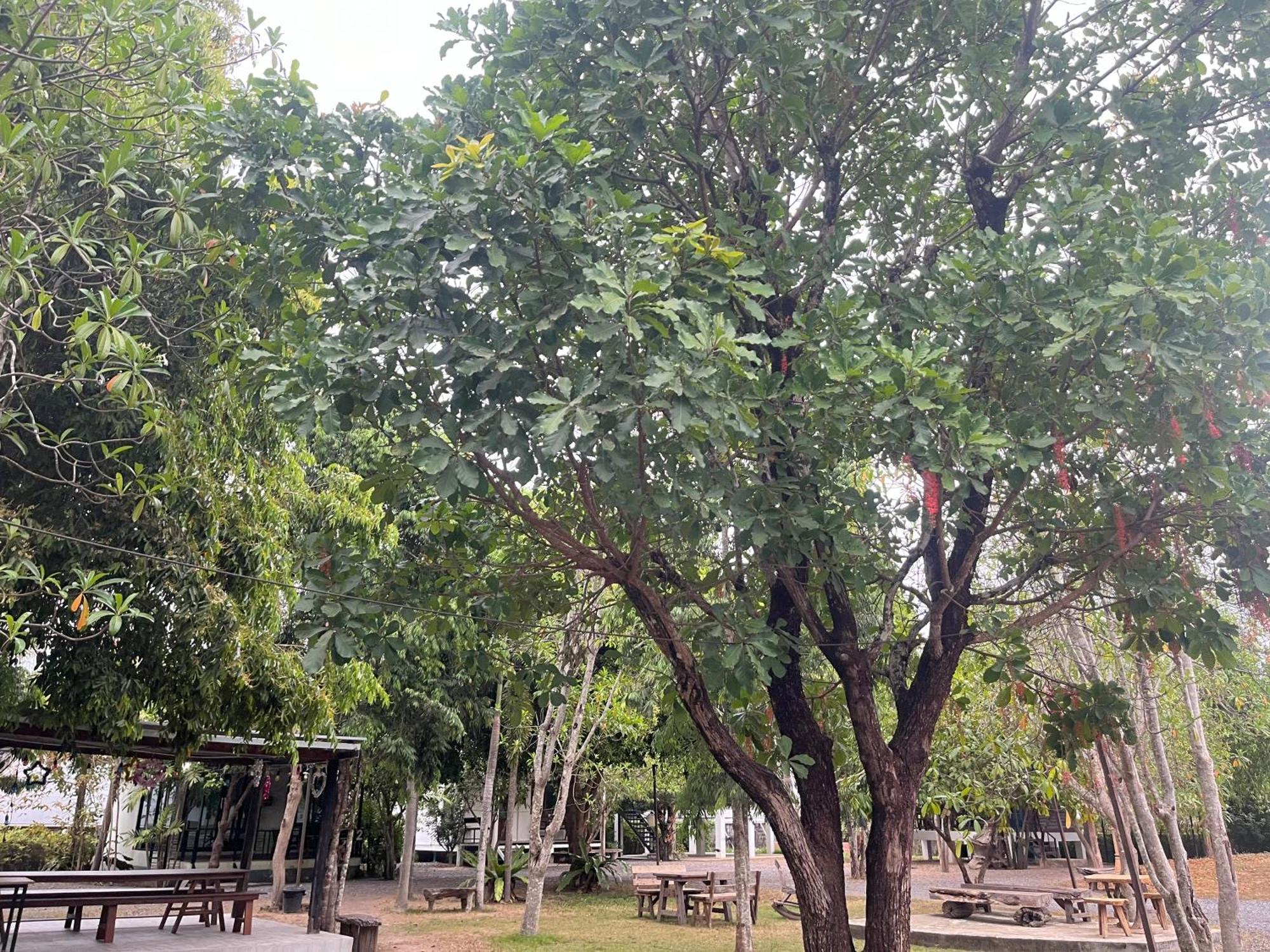 Sangkaset Resort Ban Mong Muang 외부 사진